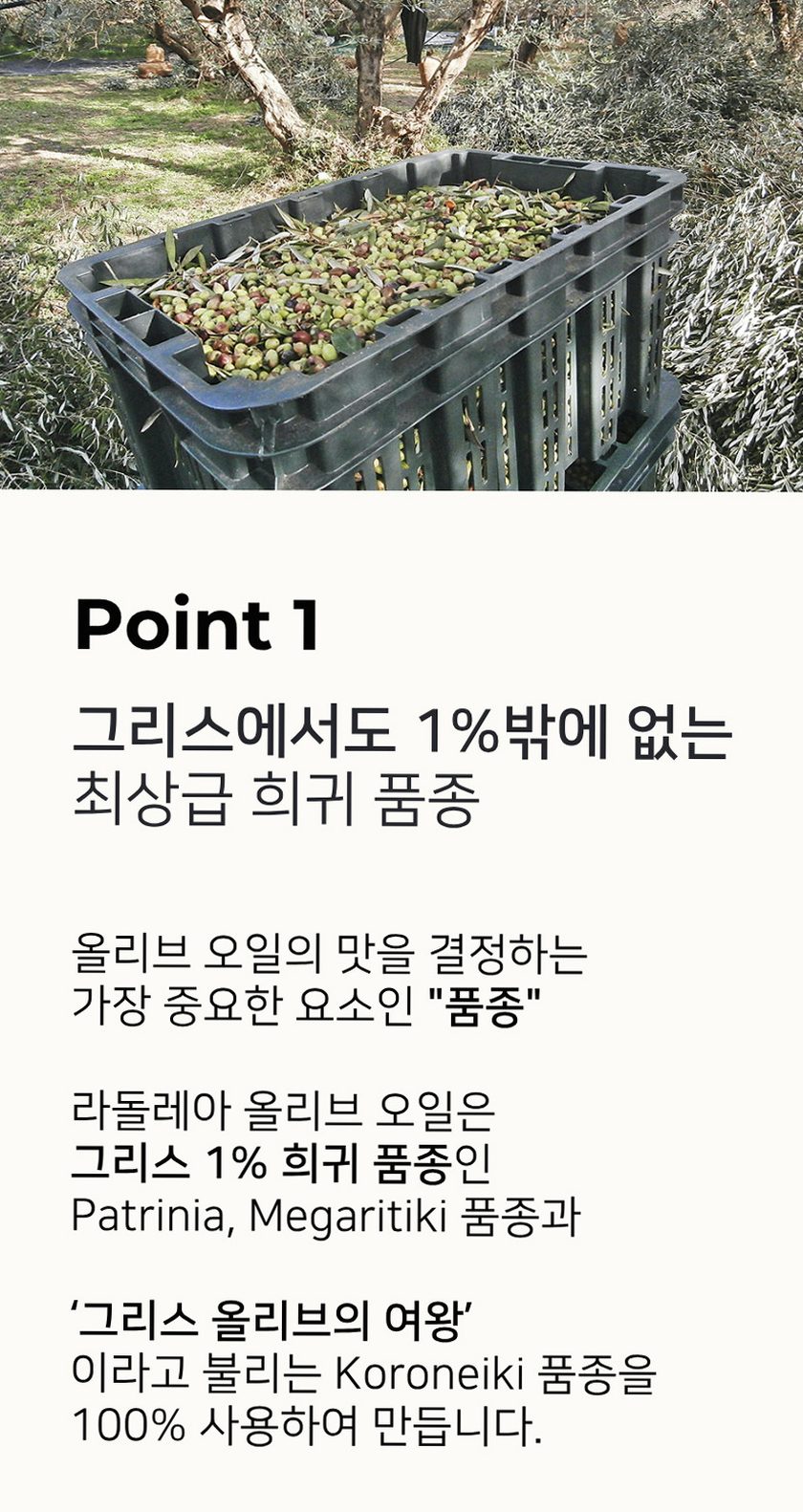 라돌레아 그리스 유기농 엑스트라버진 올리브오일 델리케이트 산뜻한맛 대용량 틴 500ml
